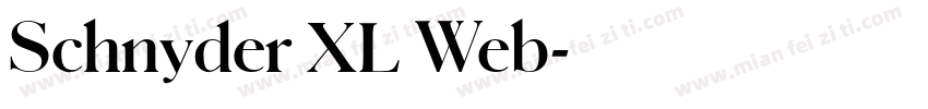 Schnyder XL Web字体转换